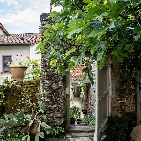 Вилла La Chiesina Di Campiglia